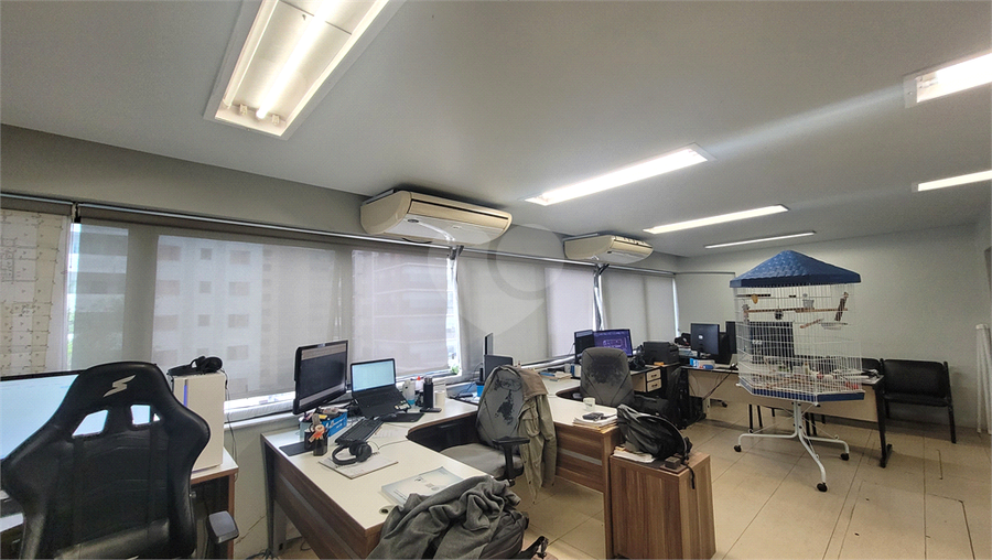 Foto REO1065927