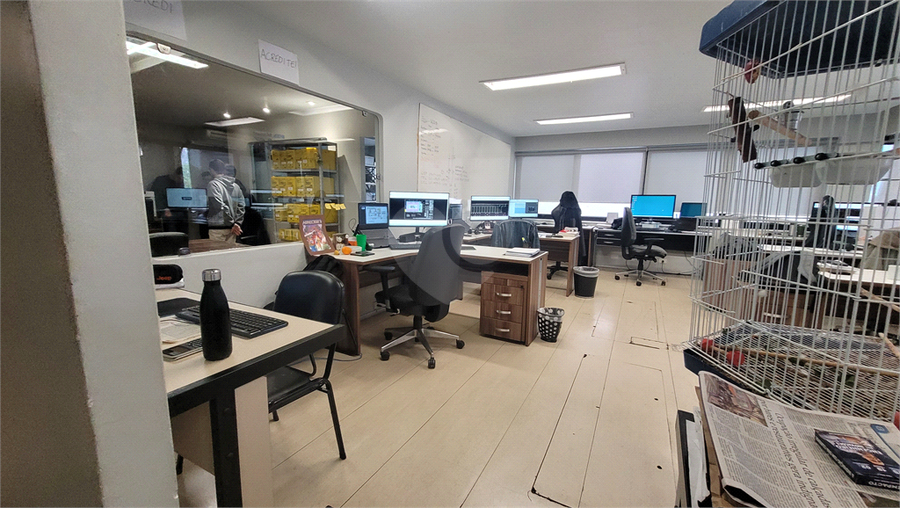 Foto REO1065927