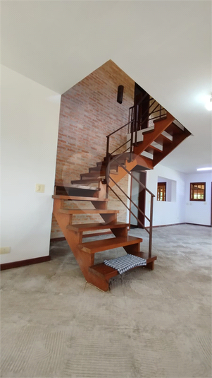 Foto REO1065946
