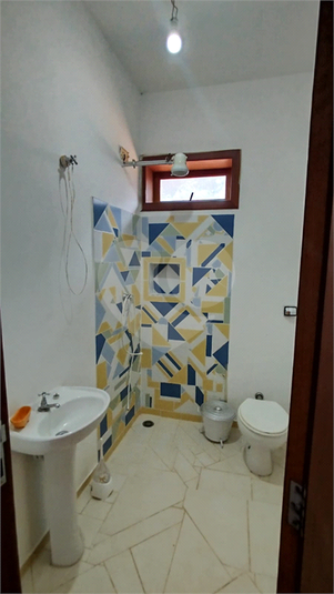Foto REO1065946
