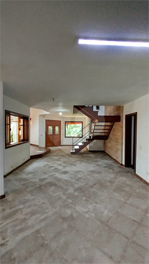 Foto REO1065946