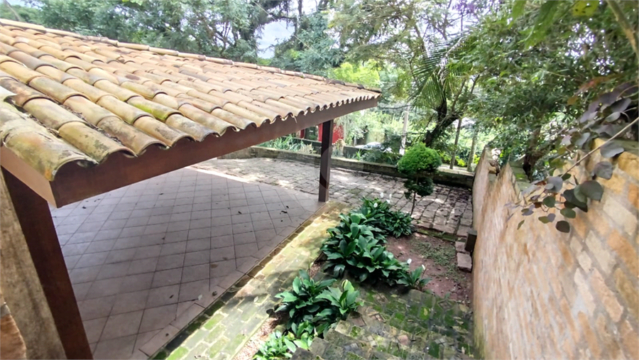Foto REO1065946