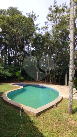 Foto REO1065946