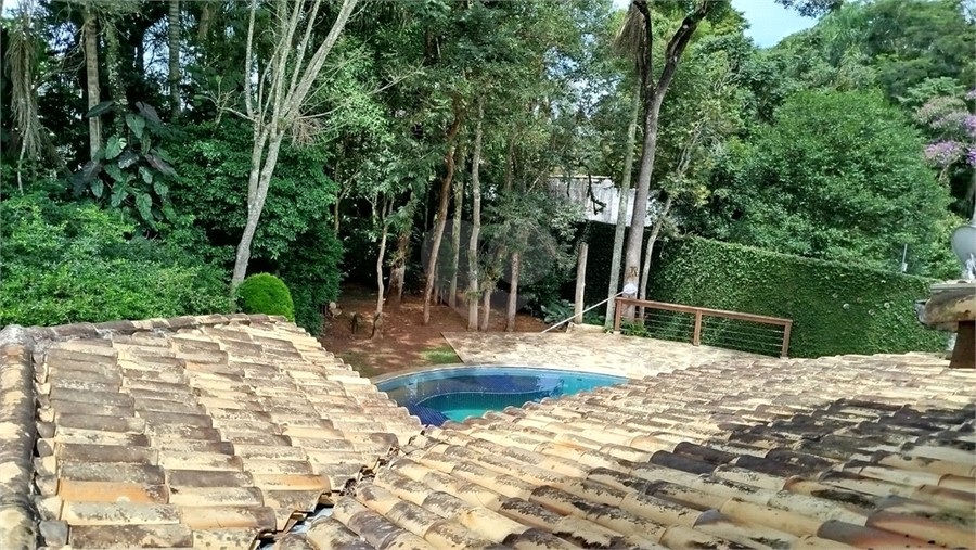 Foto REO1065946