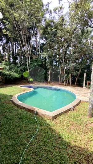 Foto REO1065946