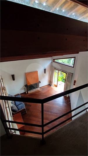 Foto REO1065946