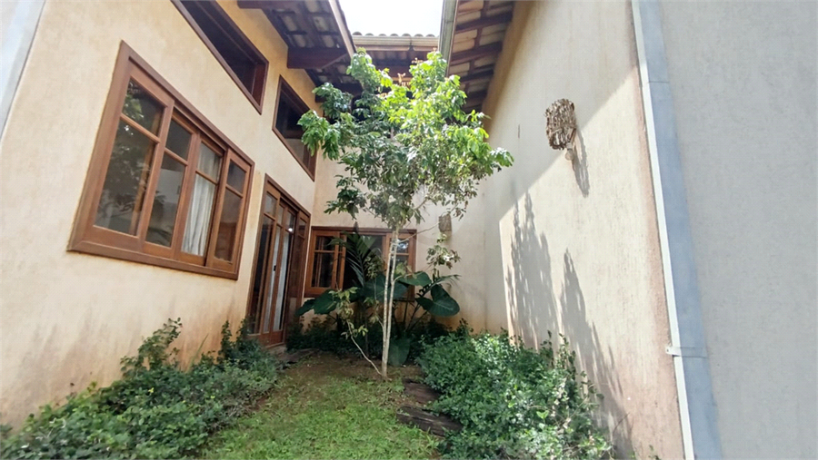 Foto REO1065946