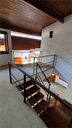 Foto REO1065946