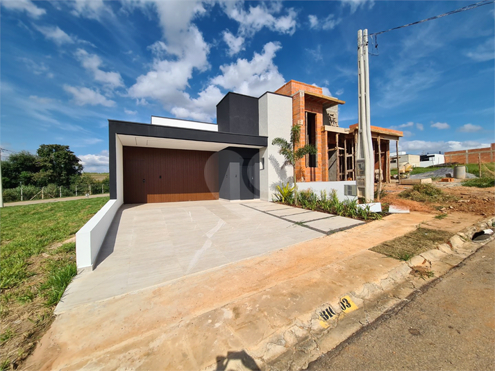 Foto REO1065966