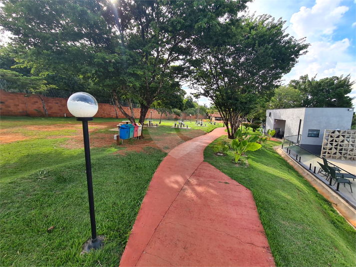 Foto REO1065966