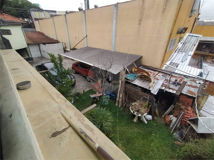 Foto REO1065993