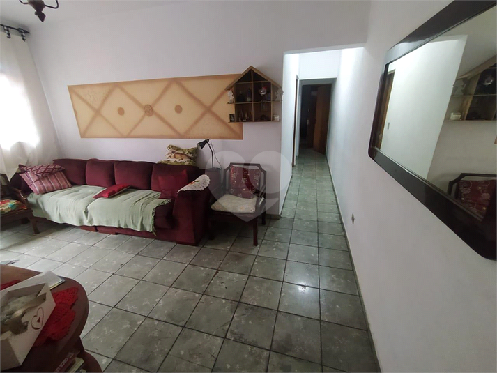 Foto REO1065993