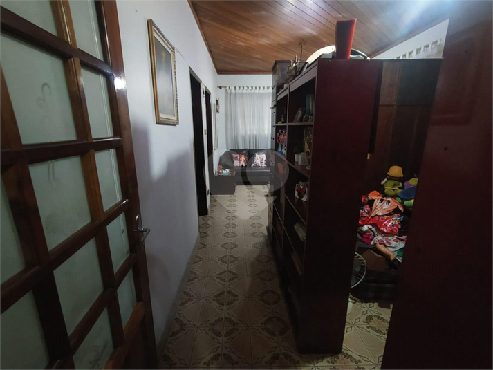 Foto REO1065993