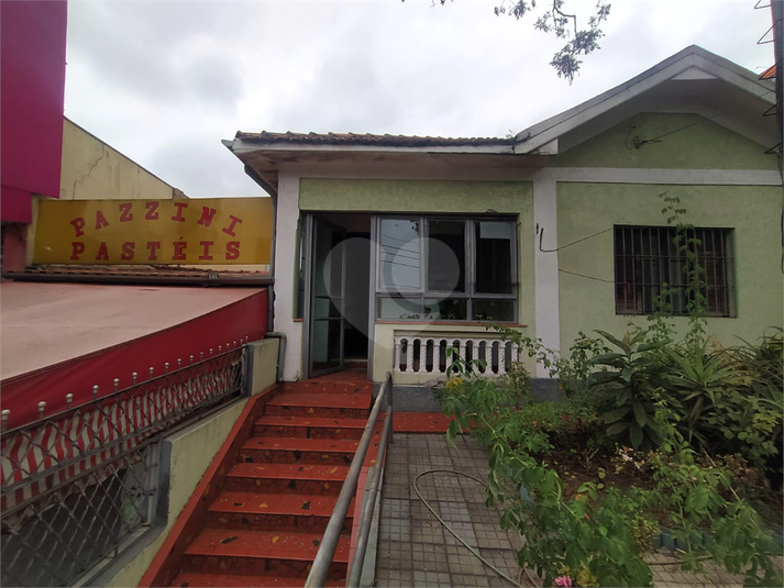 Foto REO1065993