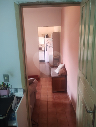 Foto REO1065999