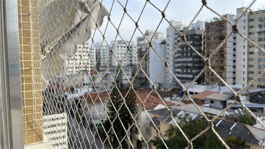 Foto REO1066040