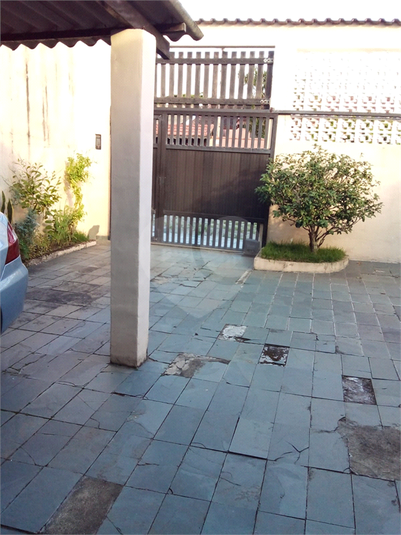 Foto REO1066052