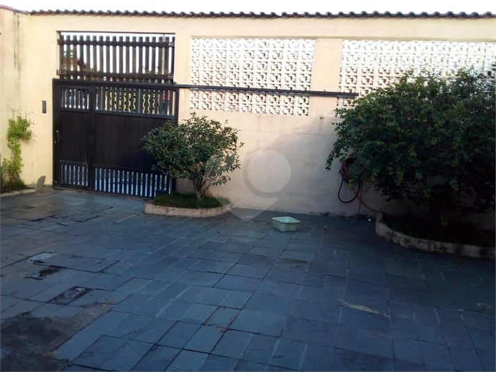 Foto REO1066052