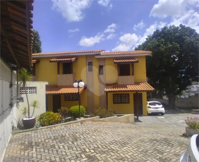 Foto REO1066151