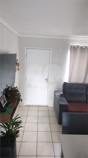 Foto REO1066168