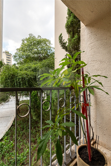Foto REO1066173