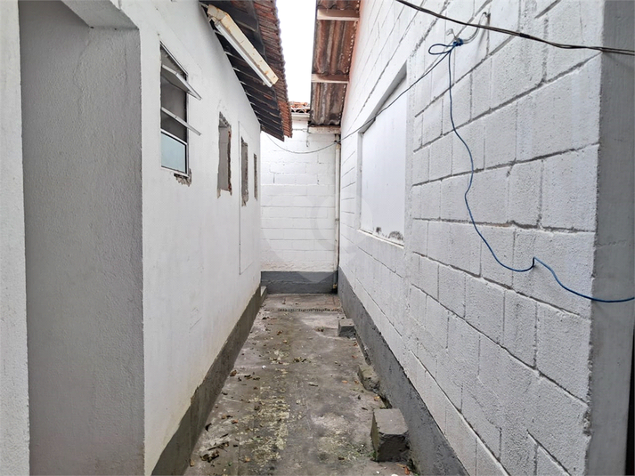 Foto REO1066196