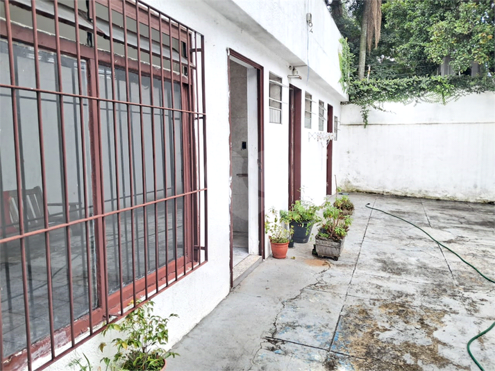 Foto REO1066196