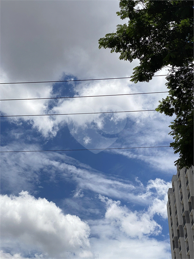 Foto REO1066197