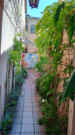 Foto REO106624