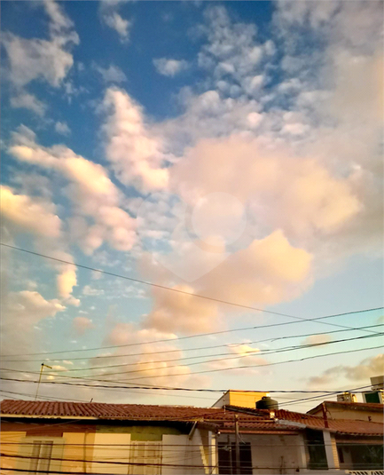 Foto REO106624