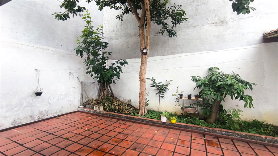 Venda Casa São Paulo Vila Paulo Silas REO1066240 60