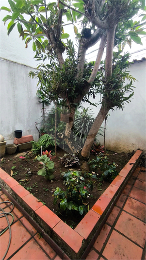 Venda Casa São Paulo Vila Paulo Silas REO1066240 79