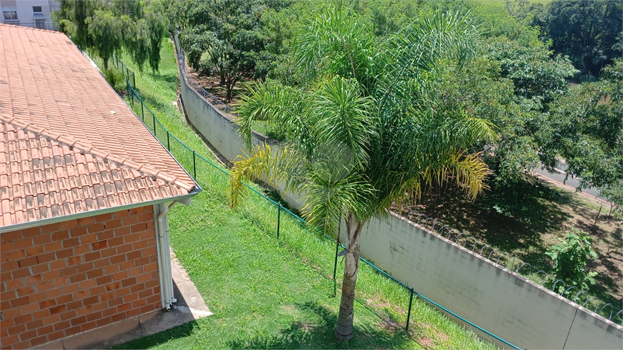 Foto REO1066261