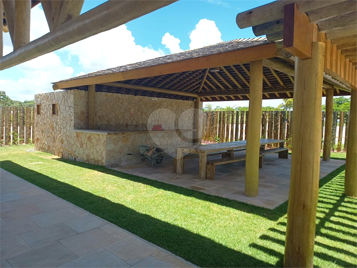 Foto REO1066263