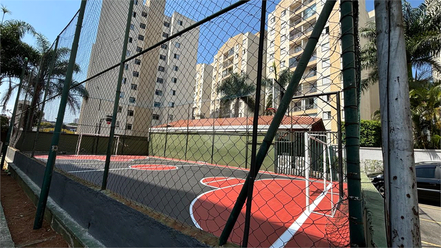 Foto REO1066305