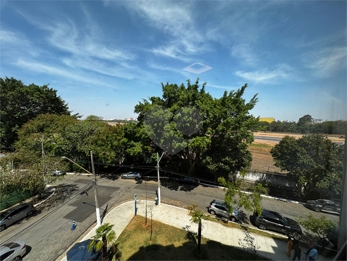 Foto REO1066317