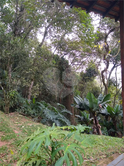 Foto REO1066364