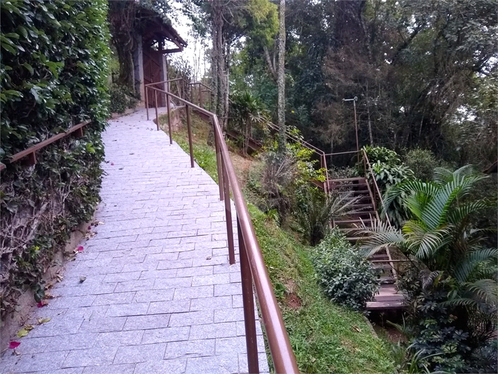 Foto REO1066364