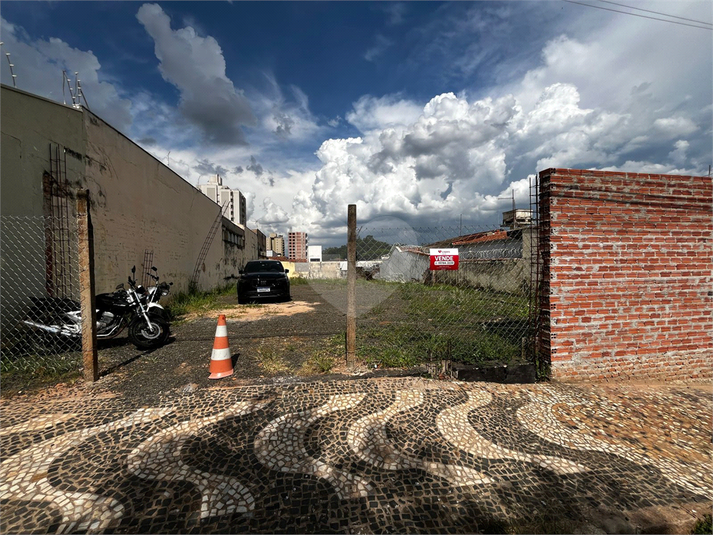 Foto REO1066424