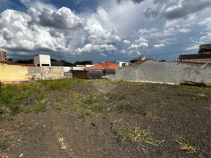 Foto REO1066424