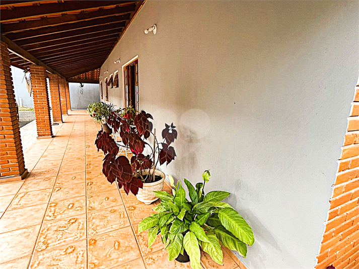 Foto REO1066431