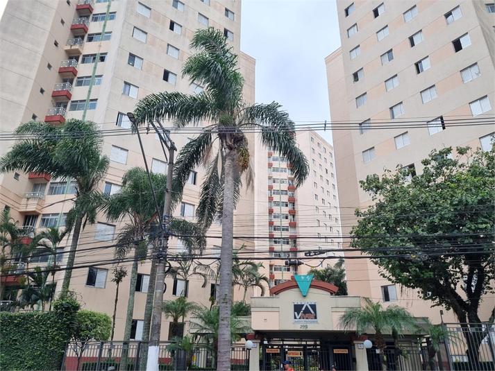 Aluguel Apartamento São Paulo Vila Constança REO1066449 17