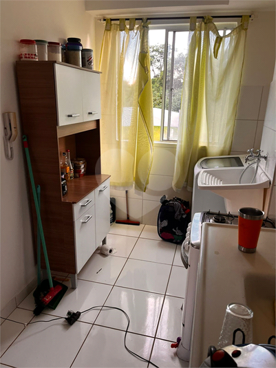Foto REO1066557