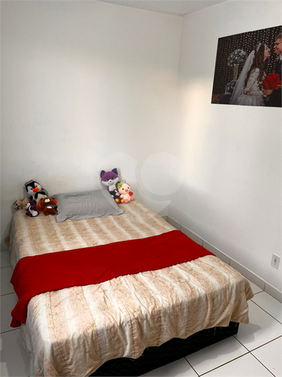 Foto REO1066557