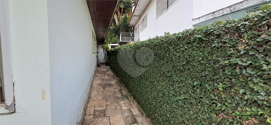 Foto REO1066649