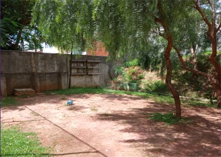 Foto REO1066700