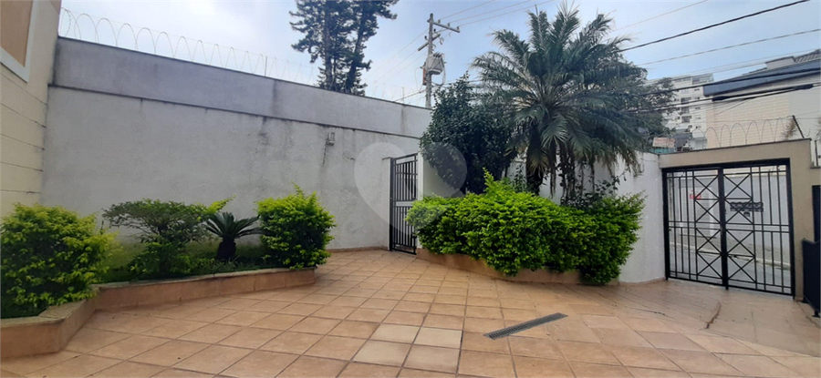 Foto REO1066703