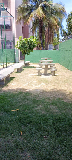 Foto REO1066715