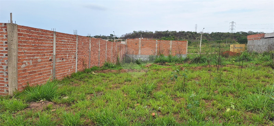Foto REO1066728