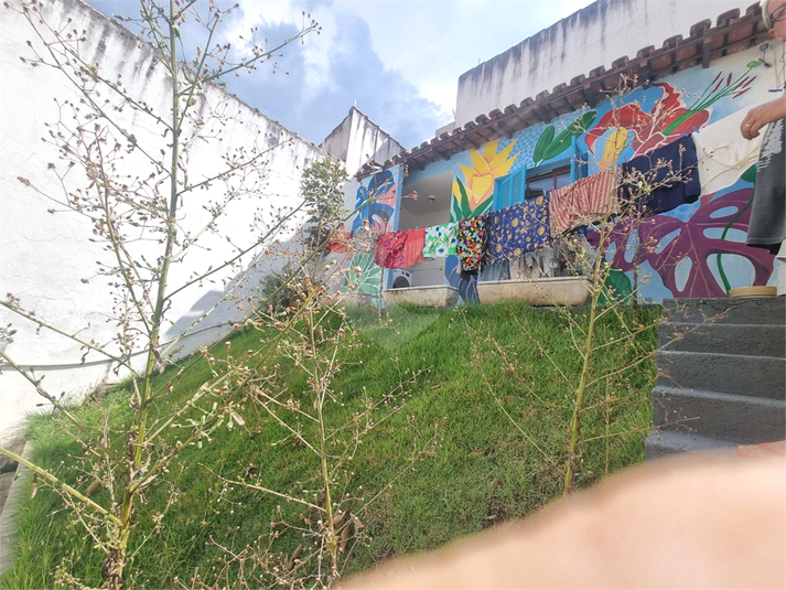 Foto REO1066741